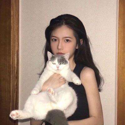 阿瓦隆之王魅族版下载